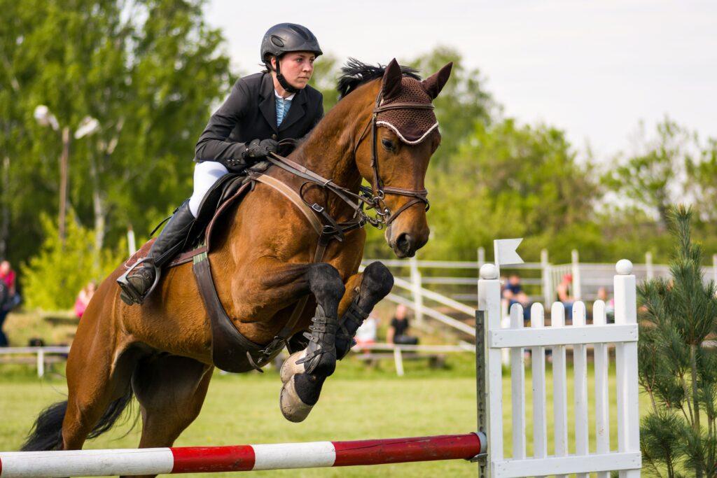 Rider guiding a powerful sport horse over a jump during an outdoor show