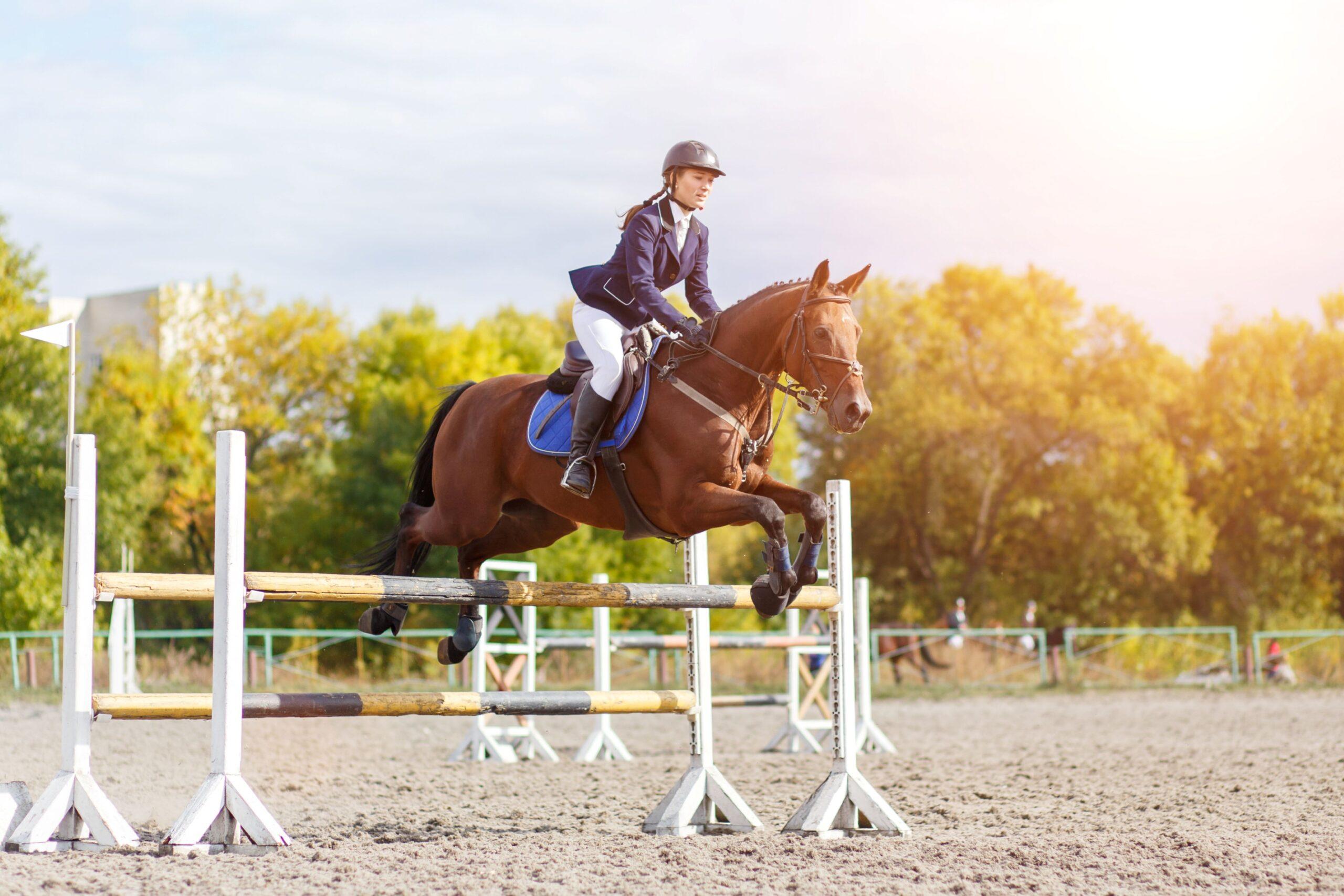 Horse and rider showing strength and harmony over a jump, reflecting the balance and control valued in Jumping Horses for sale